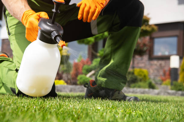 Pest Control Cost in Edison, GA